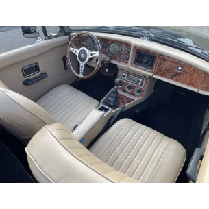 MG B 1962-1967 Full Set Interior BD Dash Trim Kit