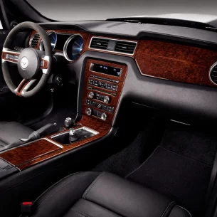 Ford Mustang  2010-2015 Interior WHZ Dashboard trim kit 22 Parts