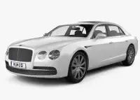 Flying Spur dekor palubky | Drevo a karbón