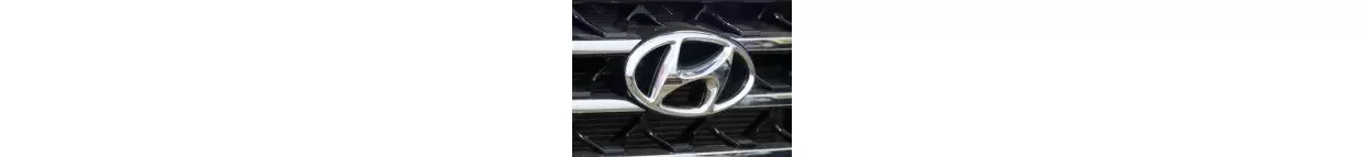 Vans Hyundai Carbon Fiber, Wooden look dash trim kits