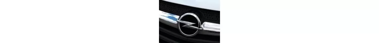 Opel Van Carbon Fiber, Wooden look dash trim kits